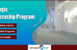 Bungie Internship Paths: From Intern to Full-Time Pro