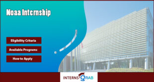 Explore NOAA Internship Roles in Science and Conservation