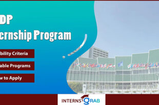 UNDP Internship: Work on Real Policy and Impact Projects
